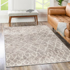 A stain and water-resistant rug with anti-allergen properties and the ability to be machine washed, part of the Vintage Crown collection